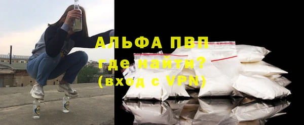 амф Бородино