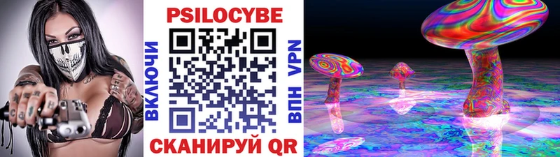 купить наркоту  Гороховец  Псилоцибиновые грибы MAGIC MUSHROOMS 